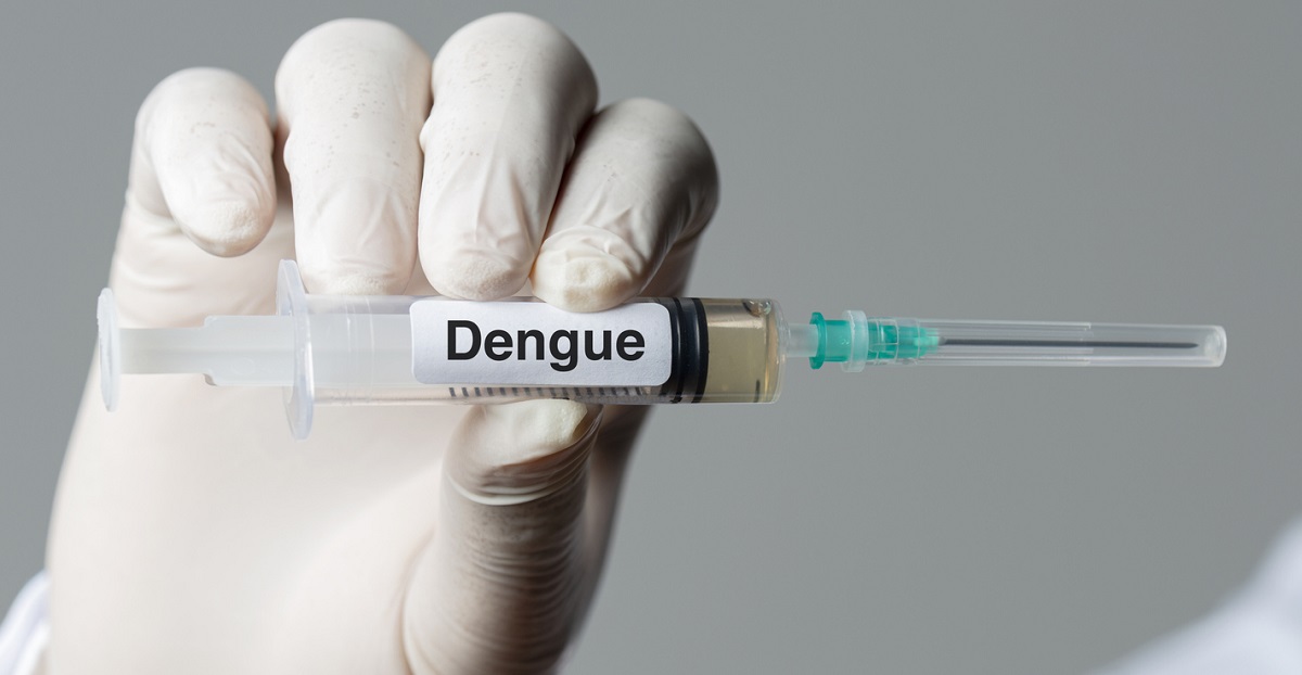 Dengue  é transmitida pela picada da fêmea do mosquito Aedes aegypti – iStock/Getty Images