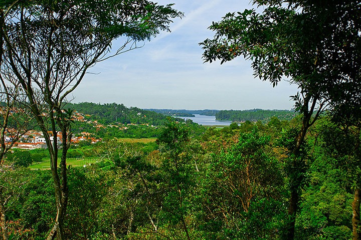 Localizado numa área de proteção de mananciais, em Ribeirão Pires é possível encontrar várias espécies da flora da Mata Atlântica