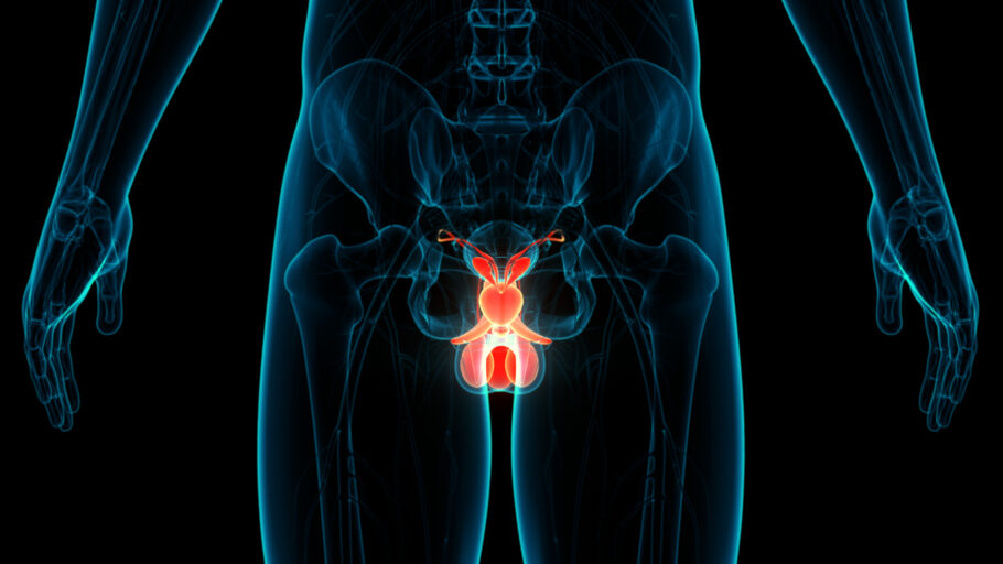 Estudo descobre gene que ajuda o câncer de próstata se espalhar