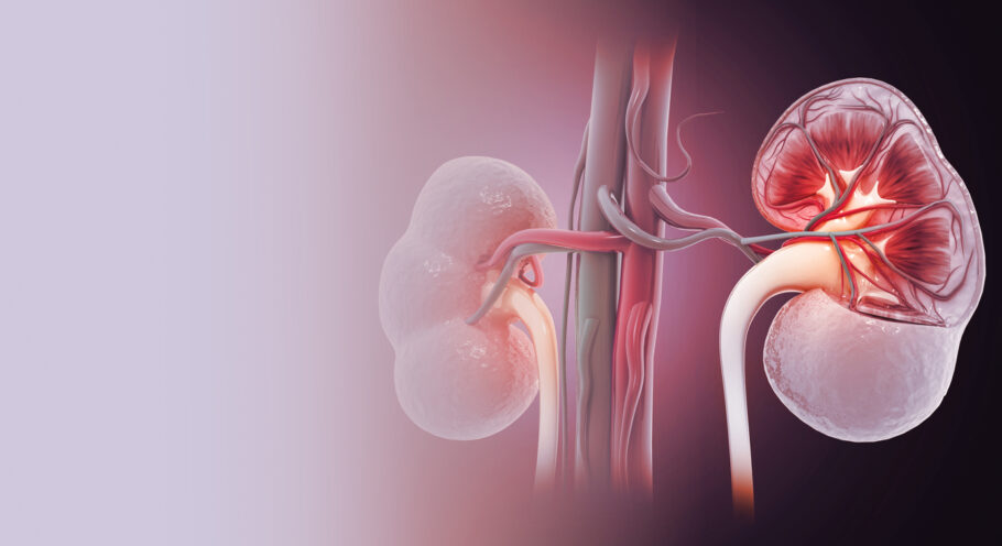 Proteinúria é a condição em que há um alto nível de proteína na urina