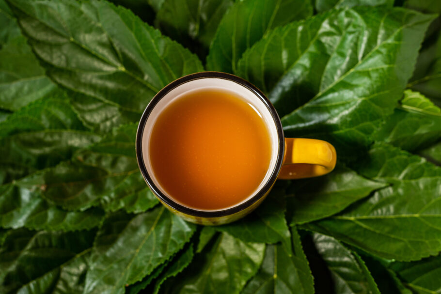 Estudo descobre efeito positivo de chá sobre o açúcar no sangue
