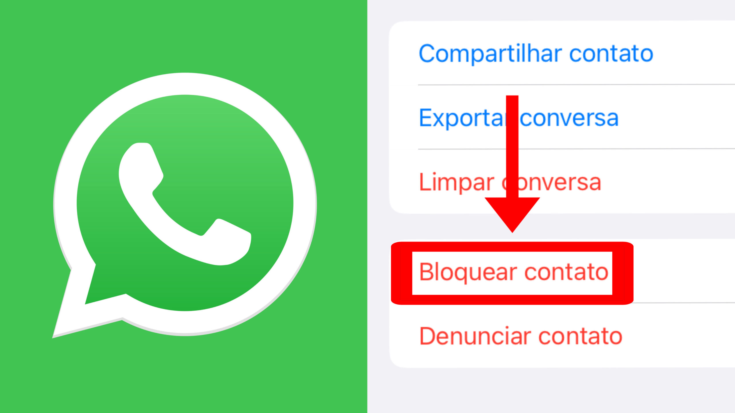 Veja como mandar mensagem mesmo se você estiver bloqueado no WhatsApp