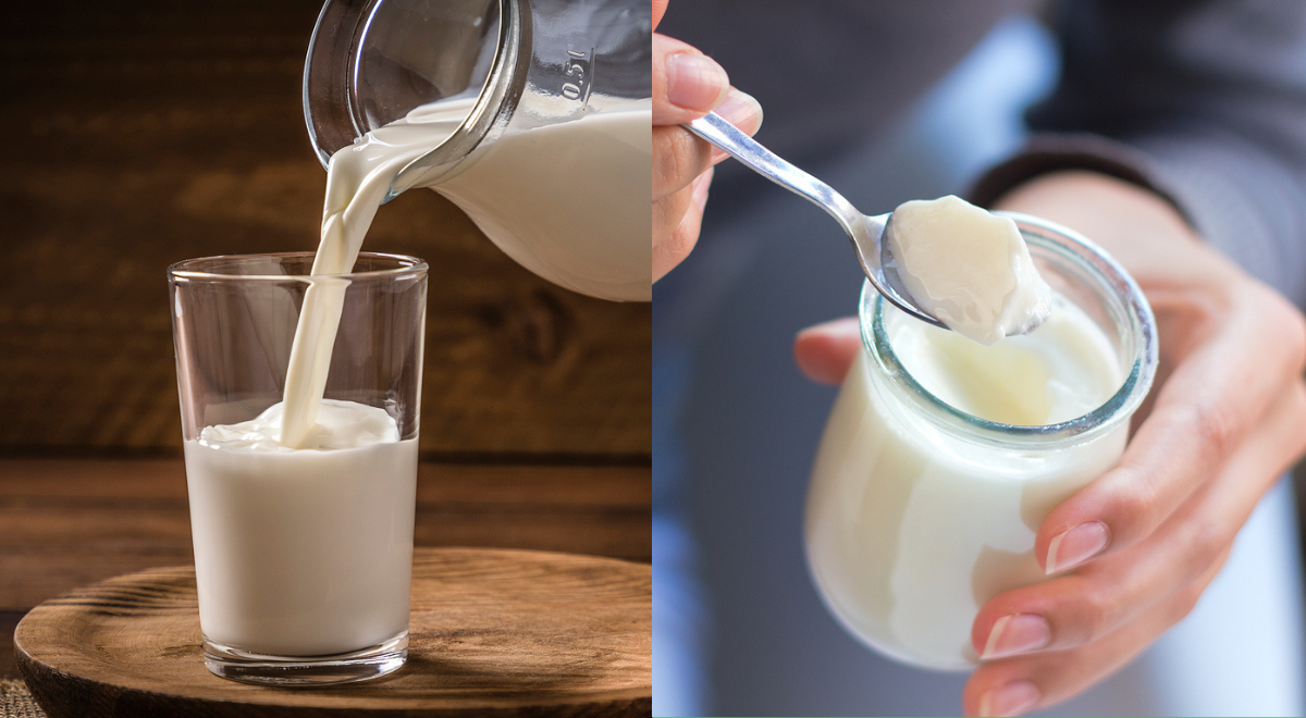 Estudo analisou leite e iogurte