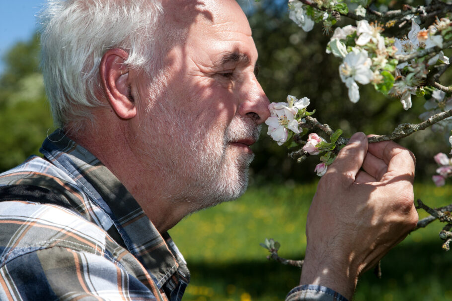 Dificuldade olfativa pode sinalizar demência, segundo estudo