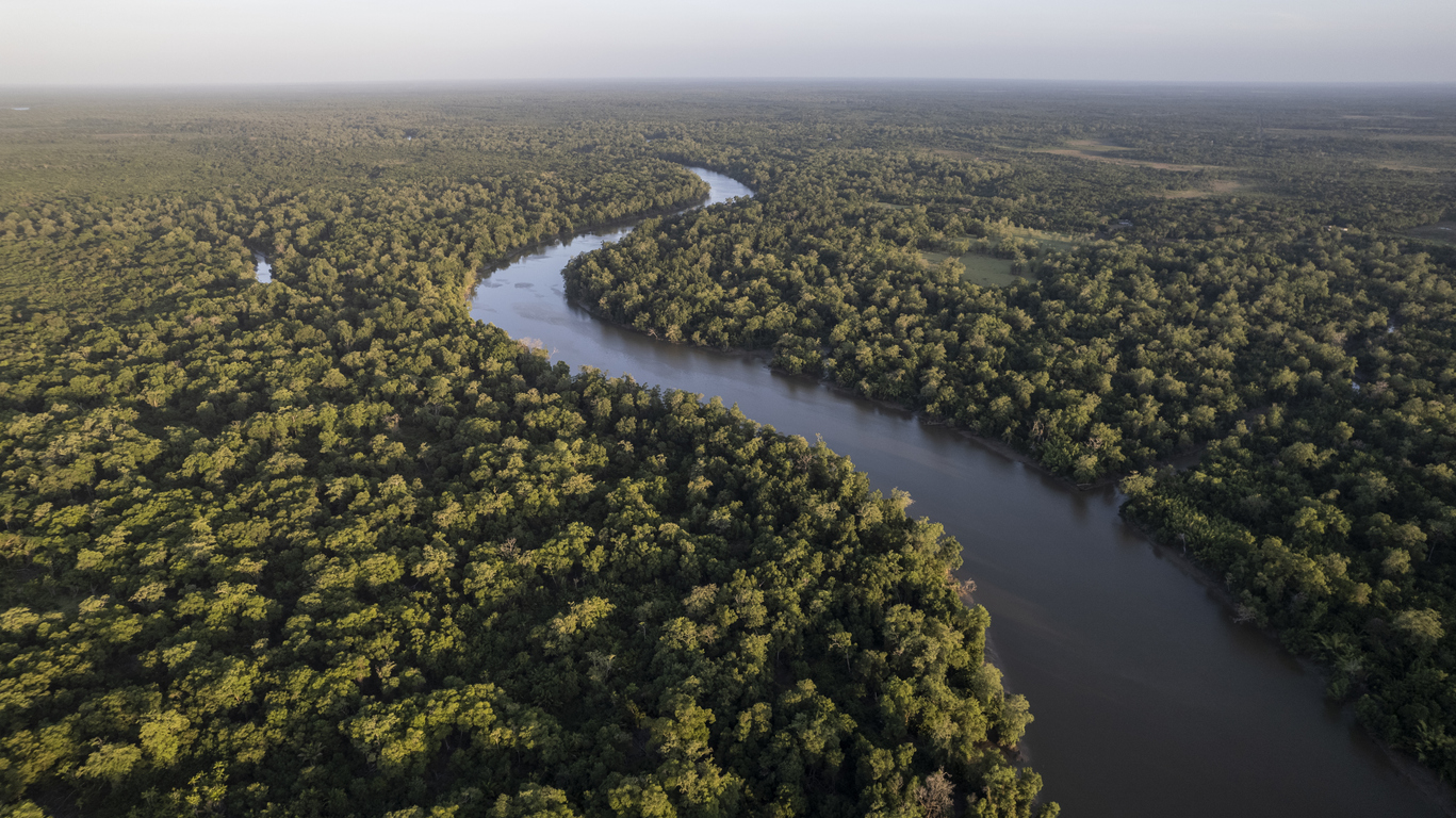 Substância encontrada na Amazônia diminui ou bloqueia a ação de algumas proteínas que agravam o câncer colorretal – iStock/Getty Images