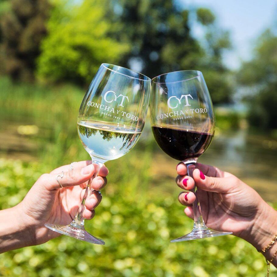 Olha só quantas experiências incríveis a Wine Locals recomenda para os amantes de vinho