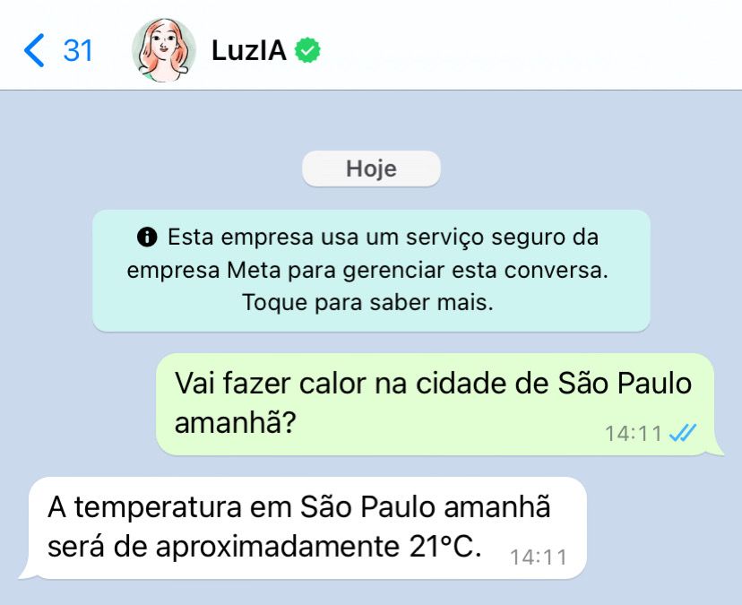 Basta mandar uma mensagem para a LuzIA