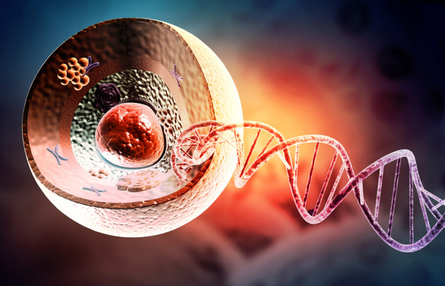 Segundo pesquisadores, fragmentos tóxicos de DNA espalham-se para células vizinhas e distantes
