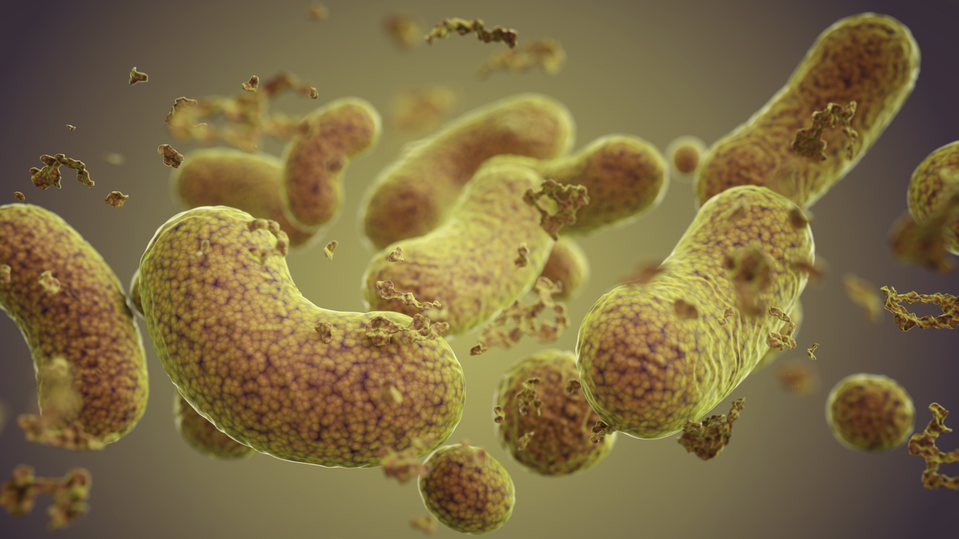 Intestino x Alzheimer: As descobertas apontam apenas para uma conexão entre a composição do microbioma intestinal e a doença.- iStock/Getty Images