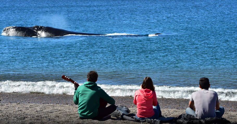 Na praia El Doradillo, as baleias passam bem próximas da faixa de areia