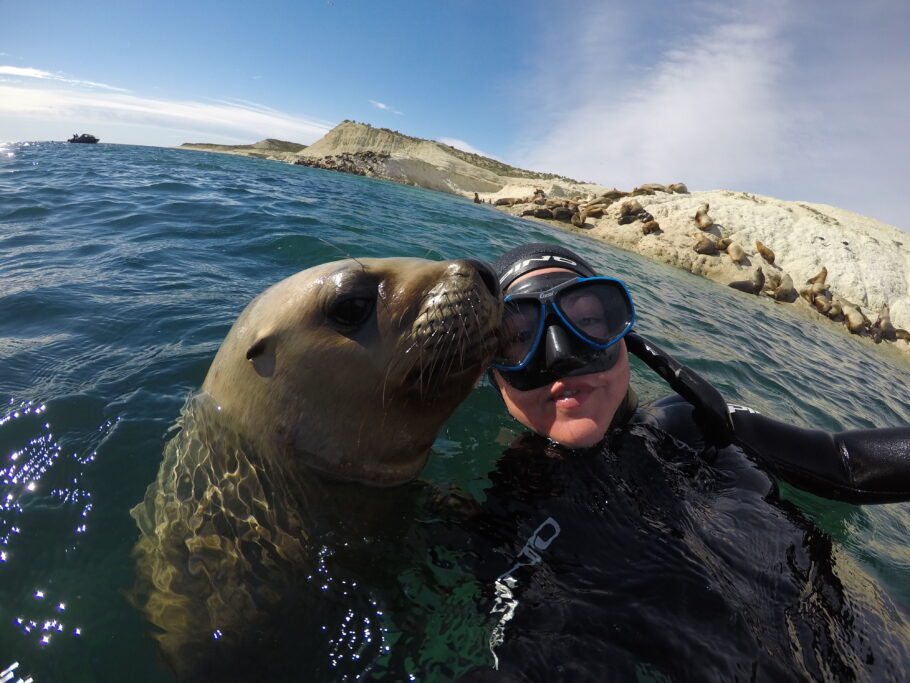 Nadar com leões-marinhos é uma das atrações de Puerto Madryn
