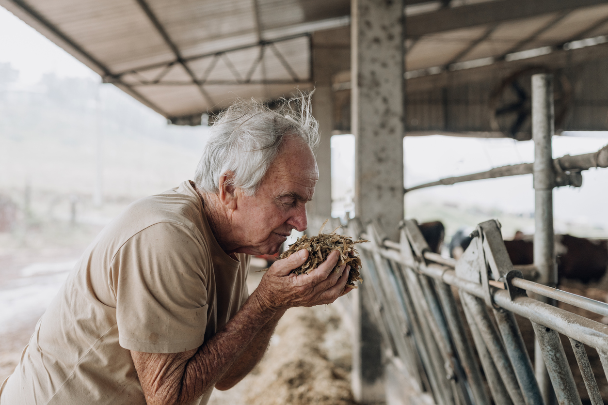 Sintoma associado a olfato pode indicar tendência ao Alzheimer, segundo estudo – iStock/Getty Images