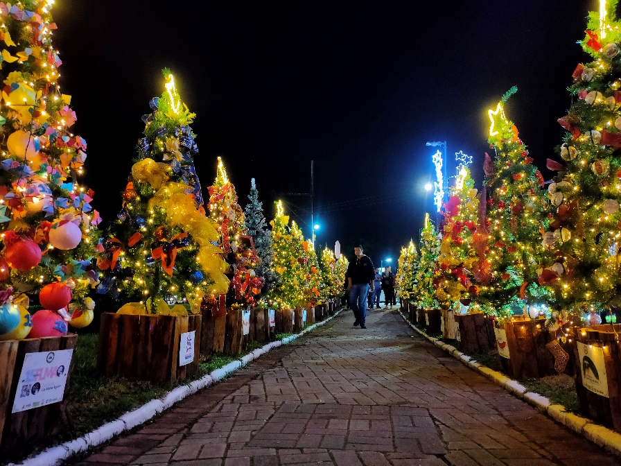 O “Circuito das Árvores” é uma das atrações da programação de Natal em Campos do Jordão