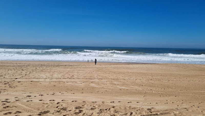 Praia do Norte em Nazaré não é para apropriada para banho de mar