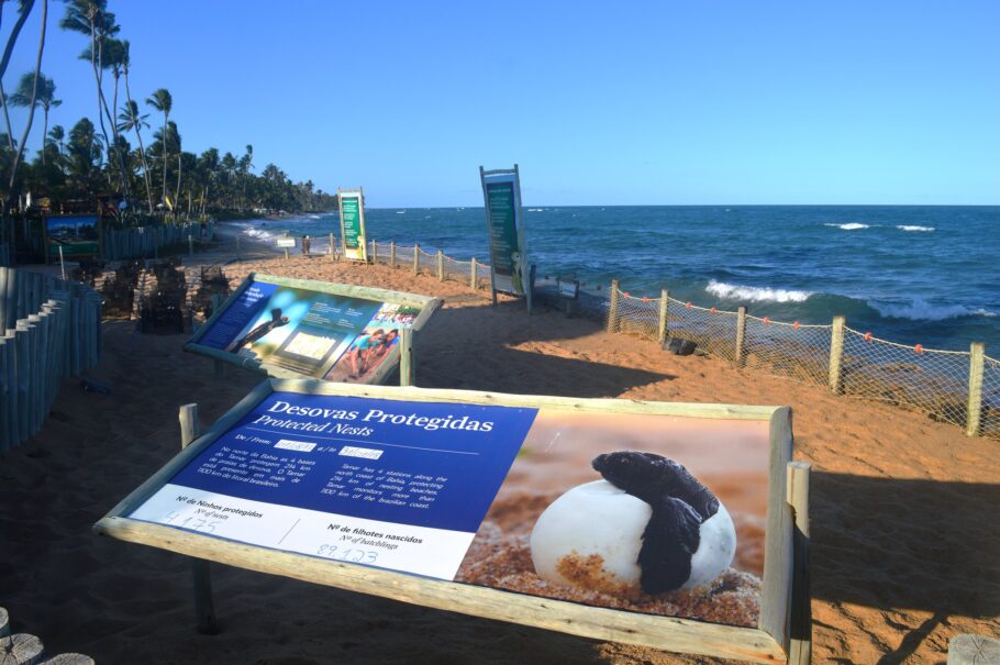 No Projeto Tamar visitantes têm oportunidade de conhecer e aprender sobre as tartarugas marinhas