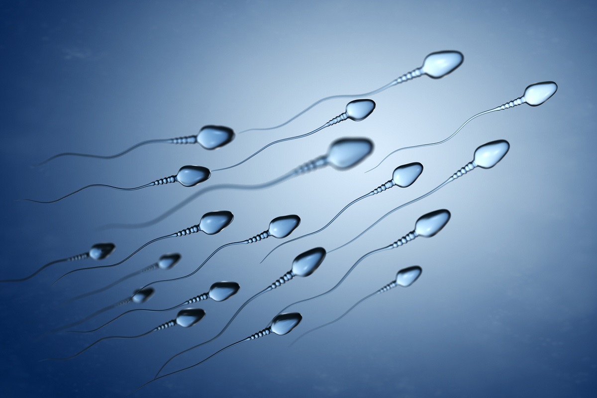 Radiação de celulares causa queda na fertilidade masculina