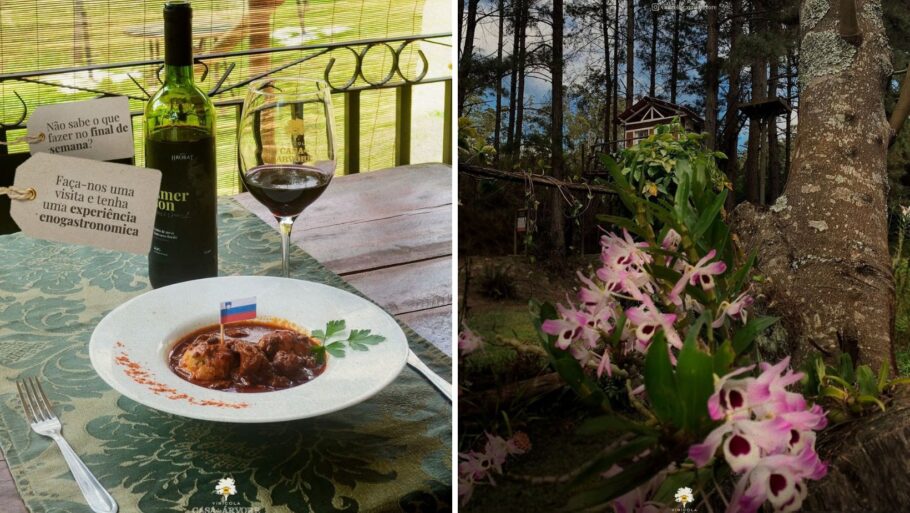 Harmonize um bom vinho com culinária eslovena na Vinícola Casa da Árvore