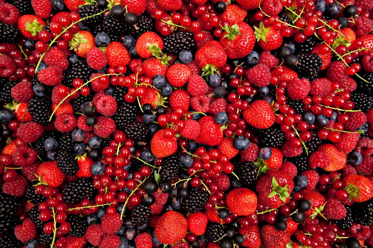 Alimentos para a saúde do cérebro: Amoras, framboesas, groselhas, mirtilos, morangos, cerejas e uvas pretas e vermelhas contêm compostos chamados antocianinas, que têm um efeito sobre os vasos sanguíneos – iStock/Getty Images