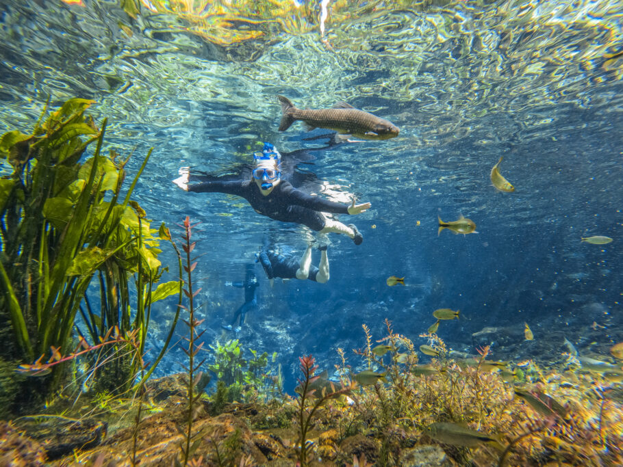 Flutuação é um dos atrativos da Nascente Azul, em Bonito (MS)