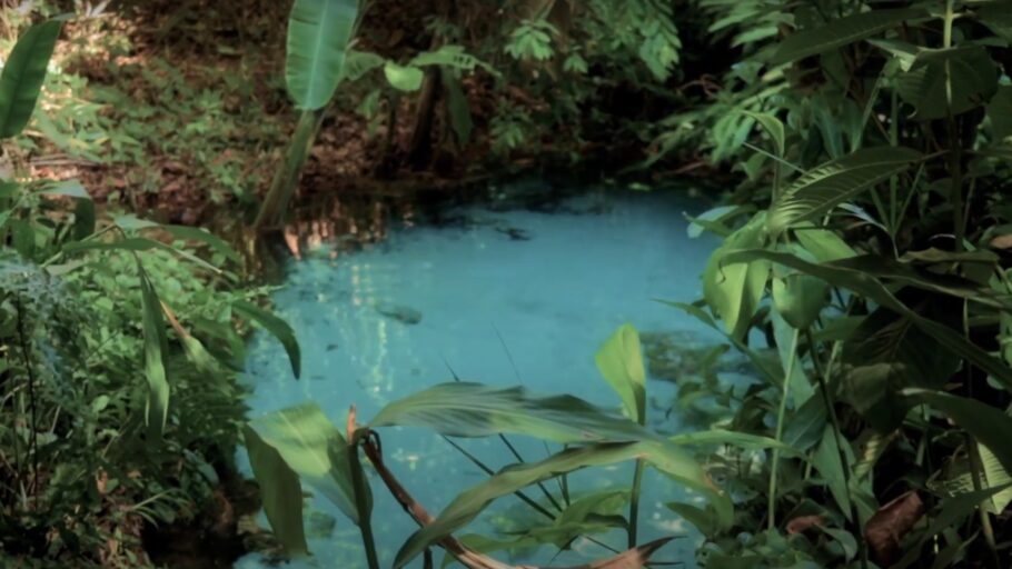 Os fervedouros são algumas das atrações em meio à natureza no Jalapão, no Tocantins