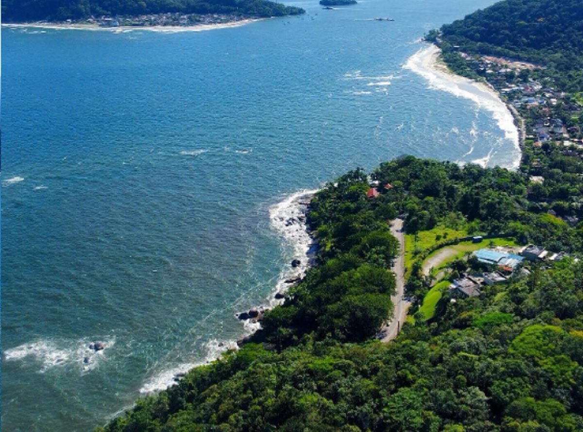 4 praias do litoral de São Paulo que se destacam pelo verde