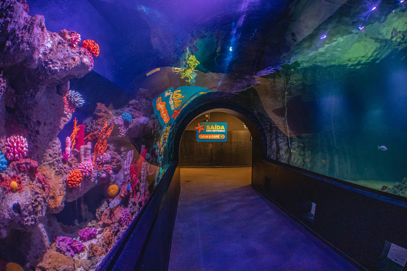 O Oceanic Aquarium tem como objetivo proteger e garantir a preservação das espécies
