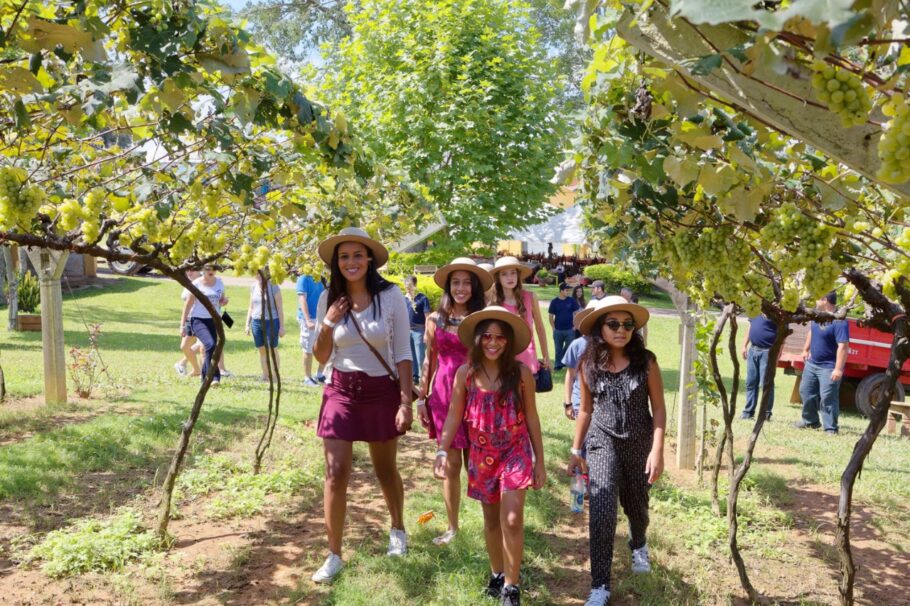 Vinícola Góes, em São Roque (SP), celebra colheita da uva com festa