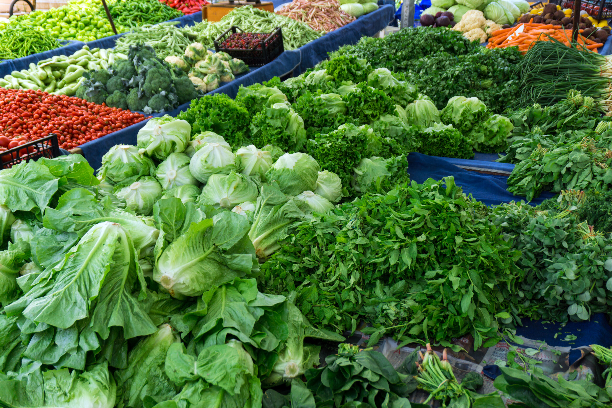Conheça as verduras mais saudáveis do mundo