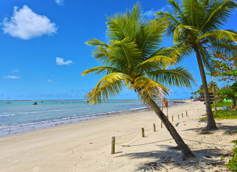 Porto Seguro: o que você não pode deixar de conhecer nesta viagem