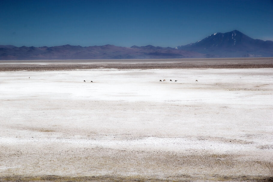 Vista do Salar de Arizaro, no noroeste da Argentina