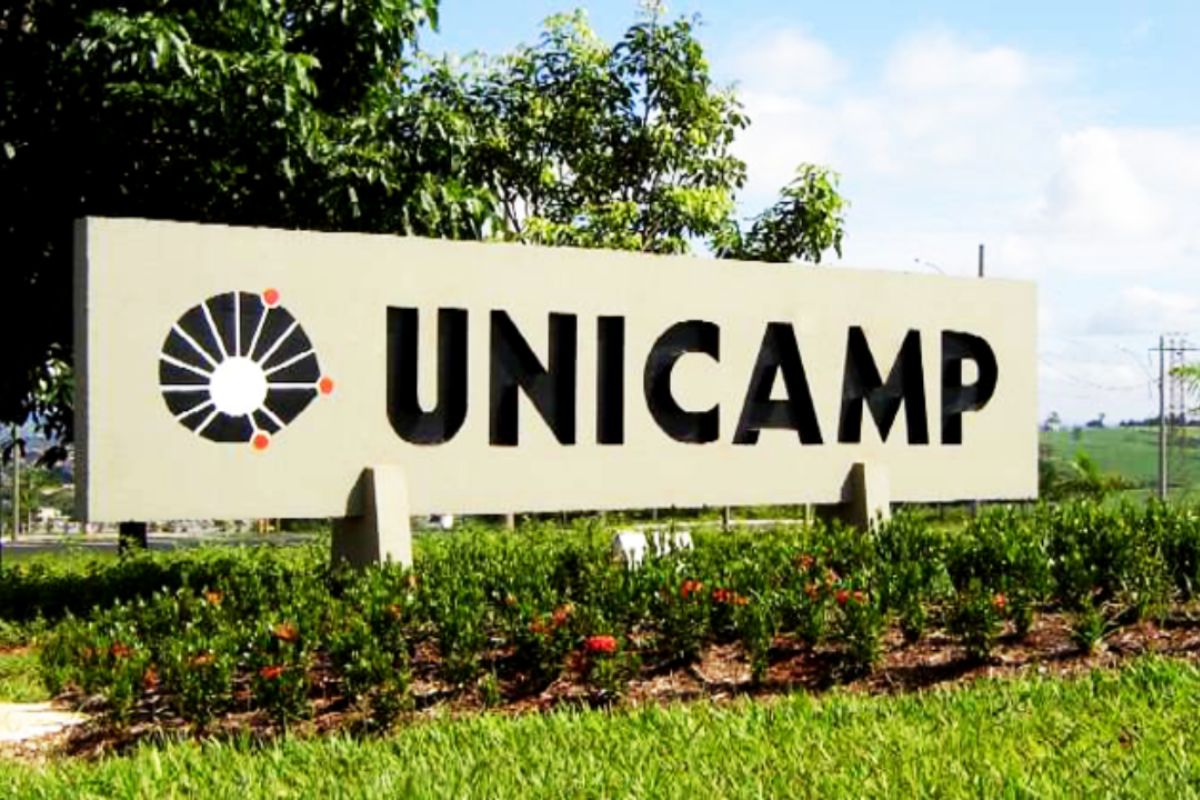 Cursos gratuitos na Unicamp para começar hoje mesmo