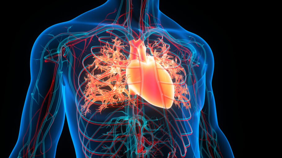 Altos níveis de colesterol podem aumentar o risco de ataques cardíacos e derrames