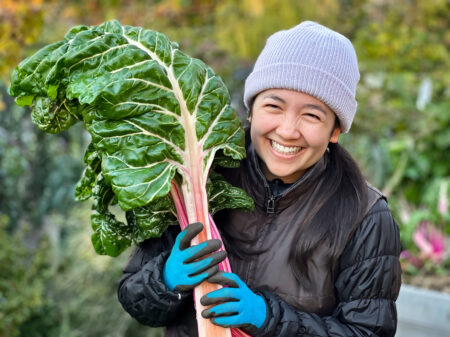 Conheça as verduras mais saudáveis do mundo