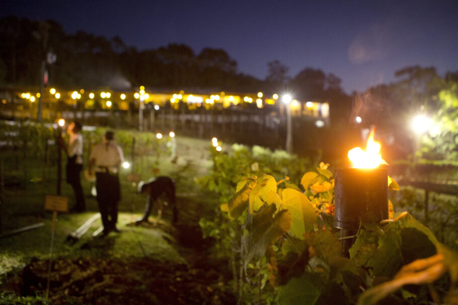 ‘Vinho dos mortos’ é atração na Quinta do Olivardo, vinícola e restaurante português em São Roque (SP)