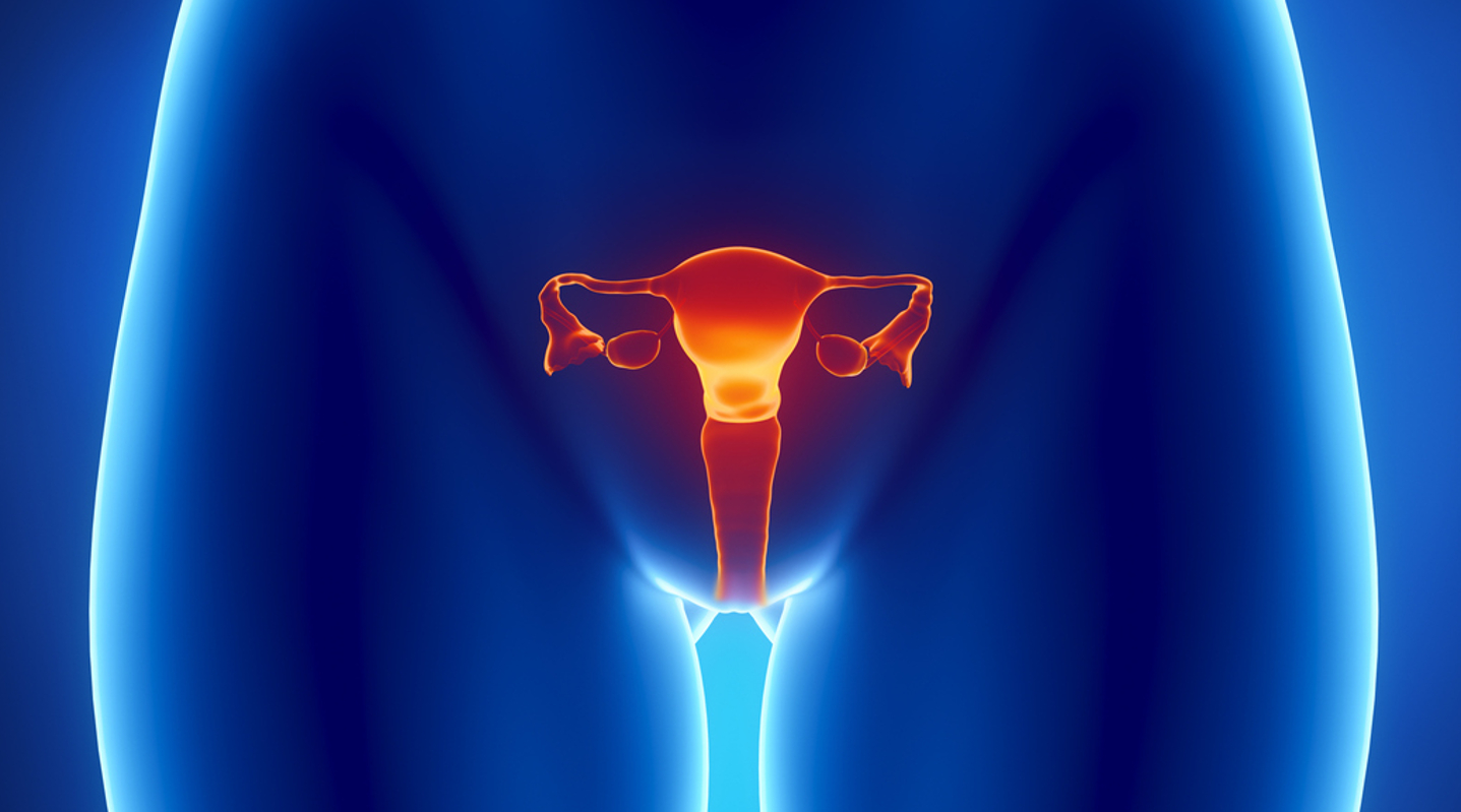 Veja como prevenir o câncer do colo do útero