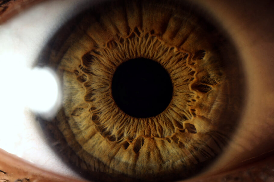Conheça os sinais e sintomas que podem indicar câncer nos olhos