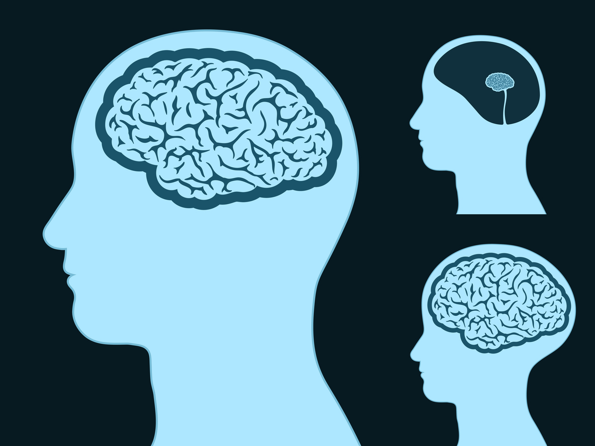Estudo revela aumento no tamanho do cérebro humano