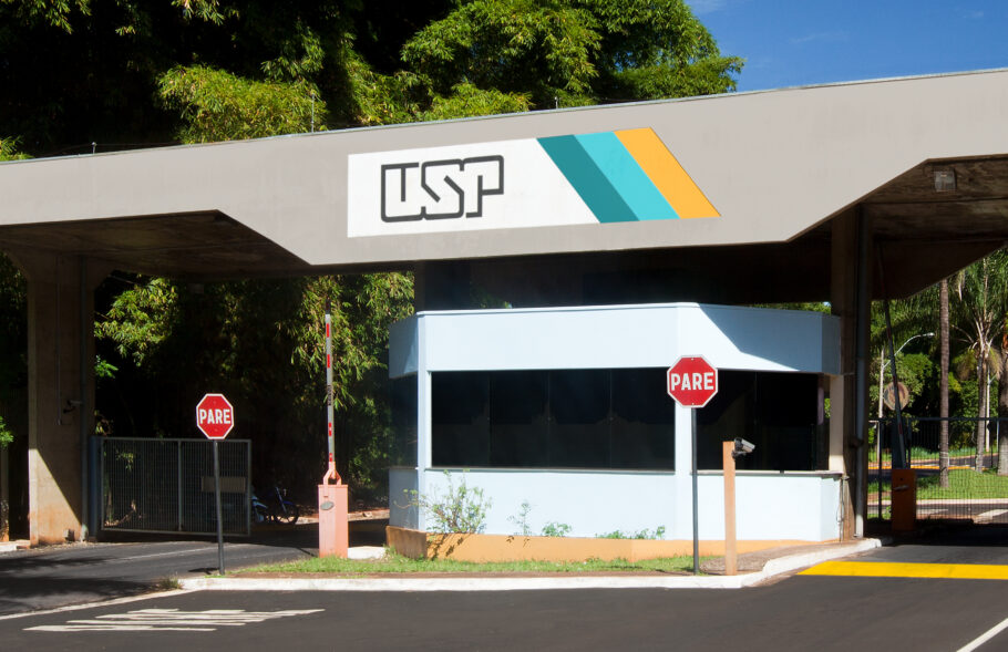 USP oferece 43 cursos gratuitos em diversas áreas; confira