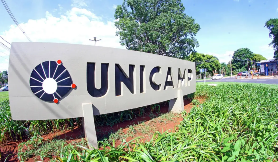 Universidade Estadual de Campinas (Unicamp) oferece acesso a 30 bibliotecas