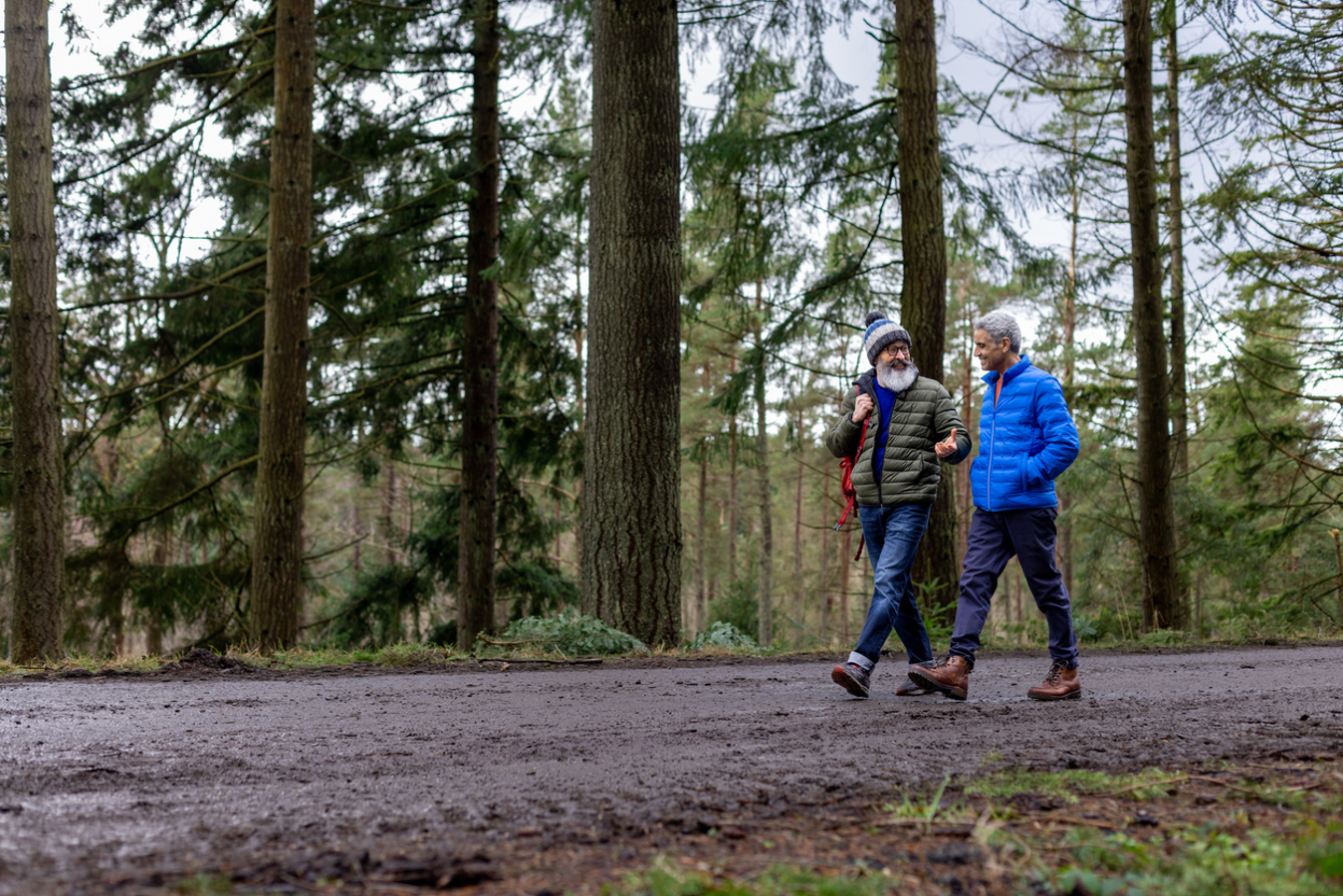 Um passeio pela natureza ajuda a recuperar a fadiga mental, de acordo com um estudo