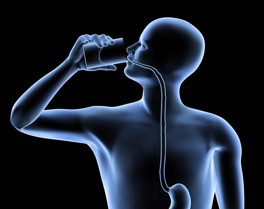 Estudo descobriu que os micróbios de bebida milenar proporcionam benefícios à saúde semelhantes aos do jejum