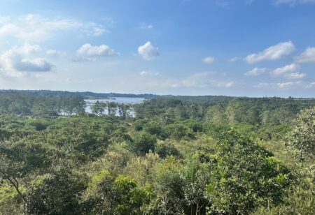 Vista da represa de Guarapiranga no mirante do Parque Jaceguava: ao fundo, o Rodoanel atravessando a represa