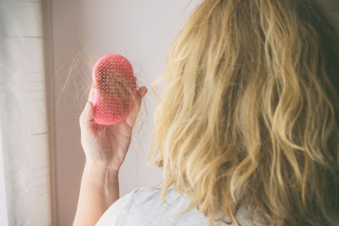 Os benefícios da semente de abacate no combate da queda de cabelo