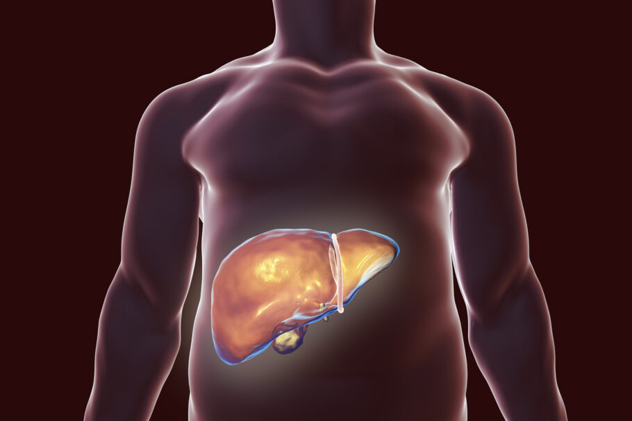 O fígado é um órgão que desempenha uma variedade de funções essenciais para manter a saúde e o funcionamento adequado do corpo humano