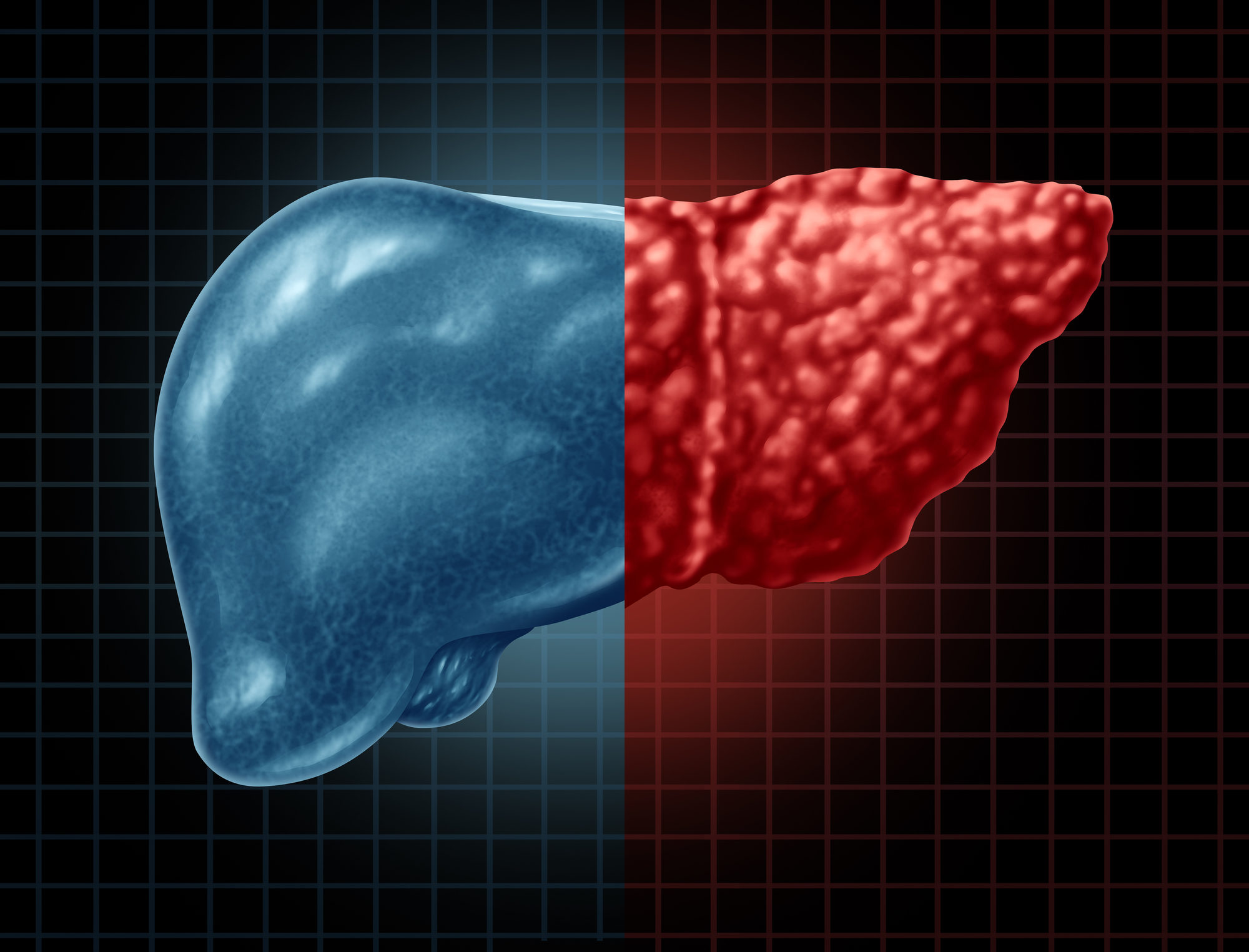 Representação de um fígado humano