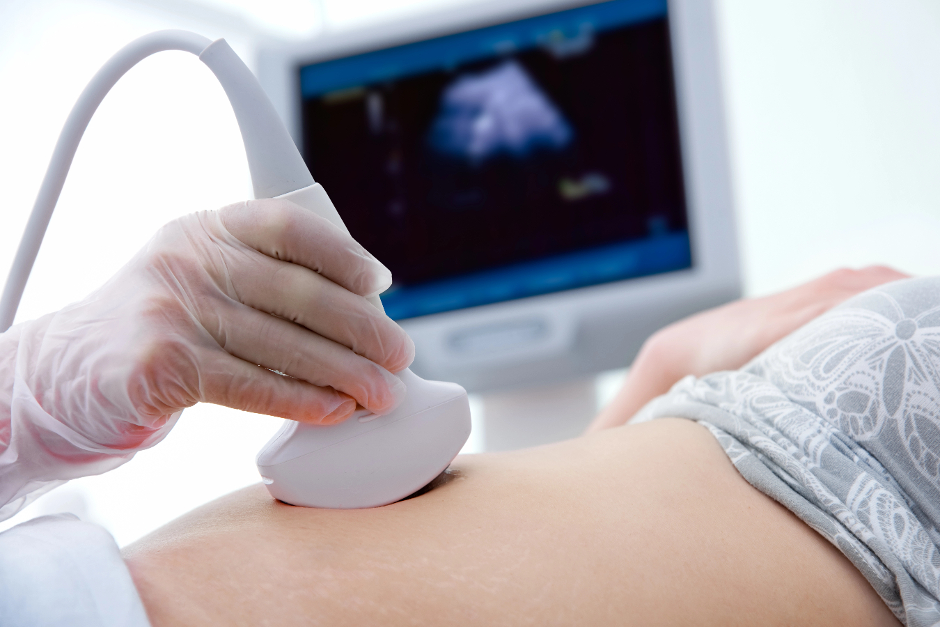 Programa visa realizar inseminação artificial gratuita; veja como participar