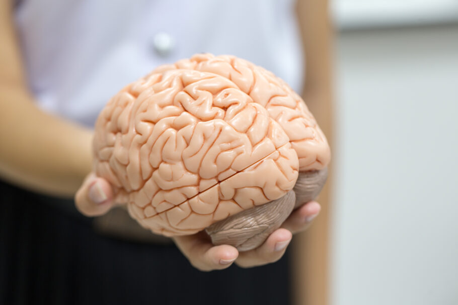 Tamanho do cérebro pode ter ligação com risco de demência, sugere estudo