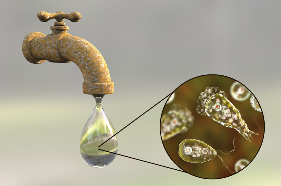 A ameba comedora de cérebro pode viver em sistemas de distribuição de água potável