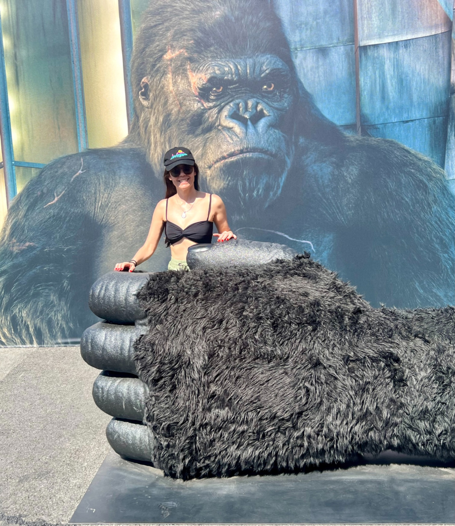 Fiz a foto na mão do King Kong durante o tour; veja mais fotos que você pode fazer
