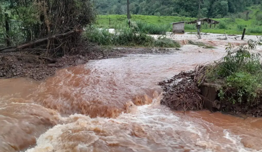 Farmácia Popular vai repor remédios perdidos na enchente no Rio Grande do Sul